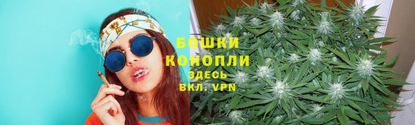 ГАЛЛЮЦИНОГЕННЫЕ ГРИБЫ Корсаков