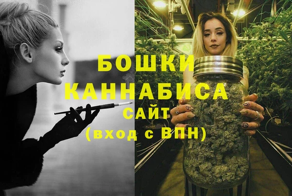 ГАЛЛЮЦИНОГЕННЫЕ ГРИБЫ Корсаков