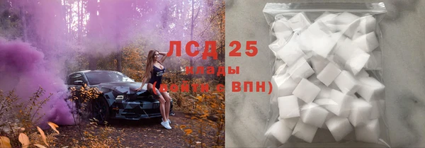 ГАЛЛЮЦИНОГЕННЫЕ ГРИБЫ Корсаков