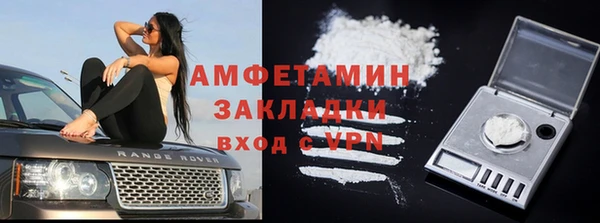ГАЛЛЮЦИНОГЕННЫЕ ГРИБЫ Корсаков