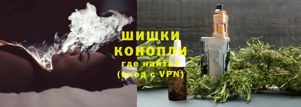 ГАЛЛЮЦИНОГЕННЫЕ ГРИБЫ Корсаков