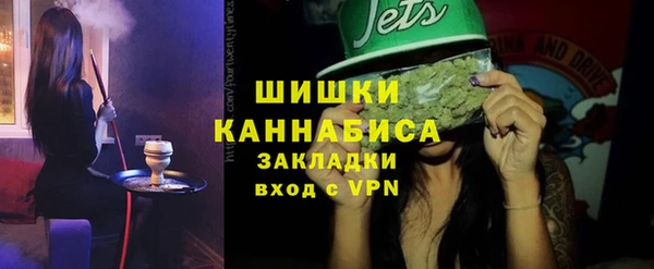 ГАЛЛЮЦИНОГЕННЫЕ ГРИБЫ Корсаков