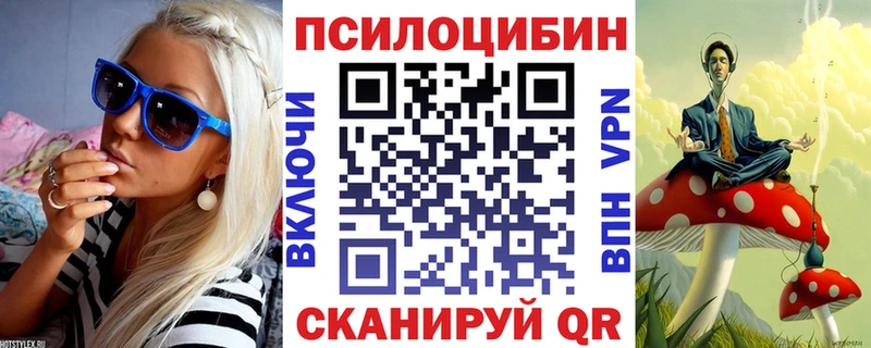 Галлюциногенные грибы Psilocybine cubensis Купить Богородск